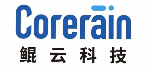 深圳鲲云信息科技有限公司